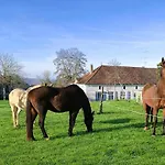 Ferienhaus Grande Maison Avec Piscine Privee, Parking Et Animaux Acceptes - Fr-1-616-505 Villamblard