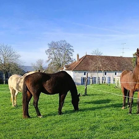 Hébergement de vacances Grande Maison Avec Piscine Privée, Parking Et Animaux Acceptés - Fr-1-616-505 Villamblard